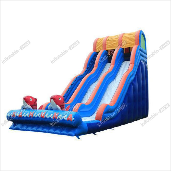 Garden Outdoor Inflatable Dry Slide, Big Party Cartoon Toddler Blow Up Dry Slide